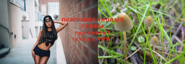 прущие крисы Богородицк