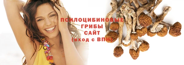 прущие крисы Богородицк
