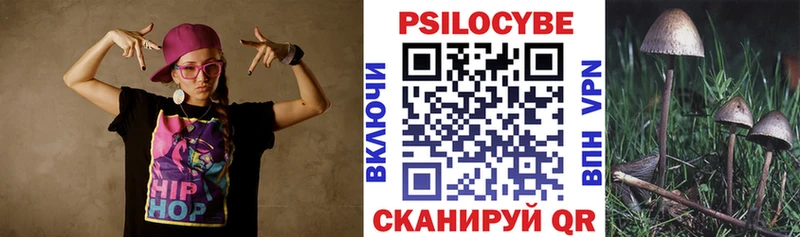 купить закладку  MEGA ONION  Псилоцибиновые грибы Psilocybe  Йошкар-Ола 